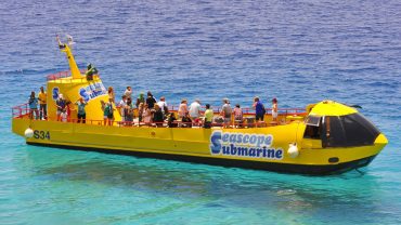 Top Sea Trips in Hurghada – Explore the Best of the Red Sea