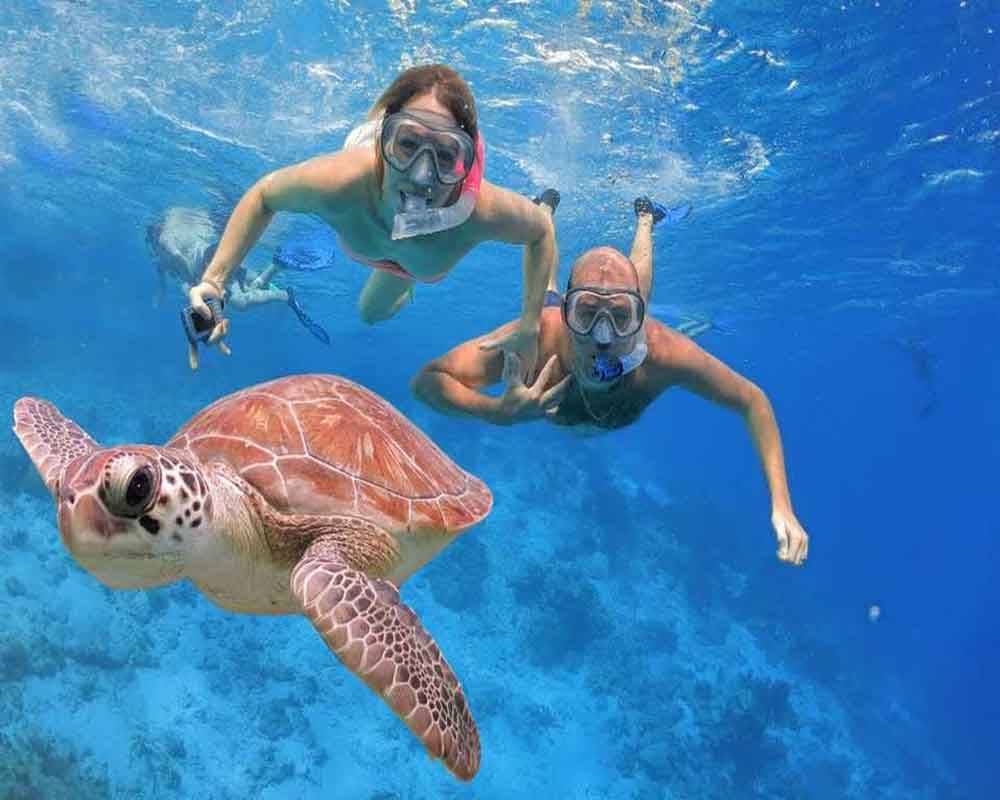 Abu Dabab – Snorkeling avec tortues de mer et dugongs
