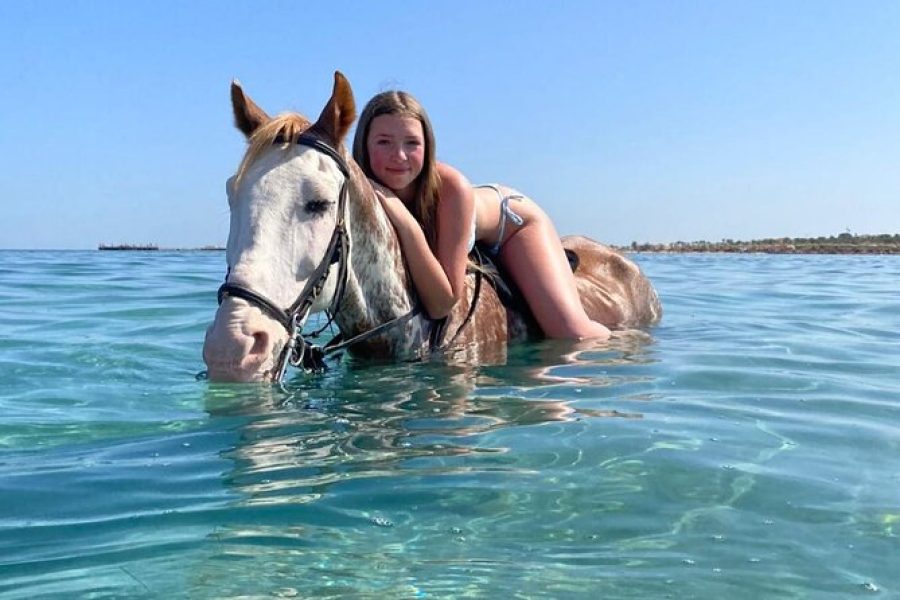 🐎 Desert and Sea Horseback Adventure