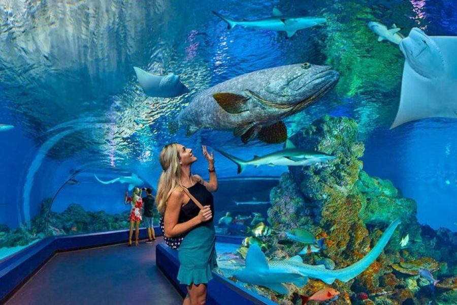 Hurghada Grand Aquarium Tour