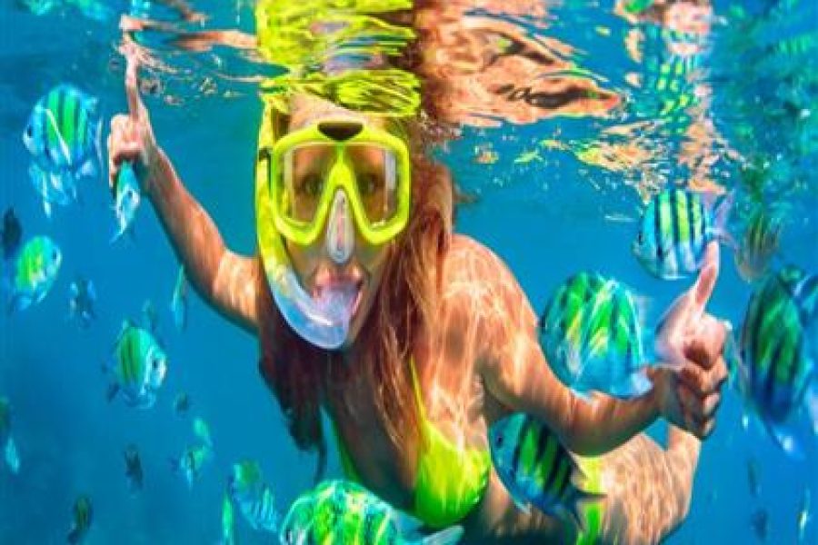 Super Utopia Island Snorkeling & Glass-Bottom Boat