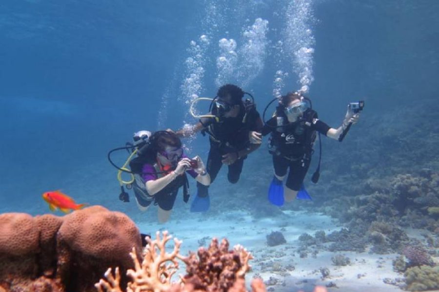 Red Sea Diving Adventure – Hurghada